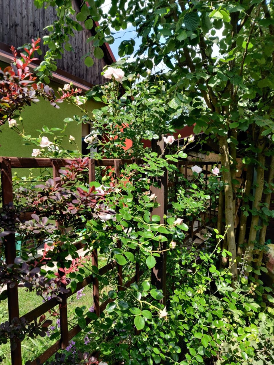 Garden, Garden view