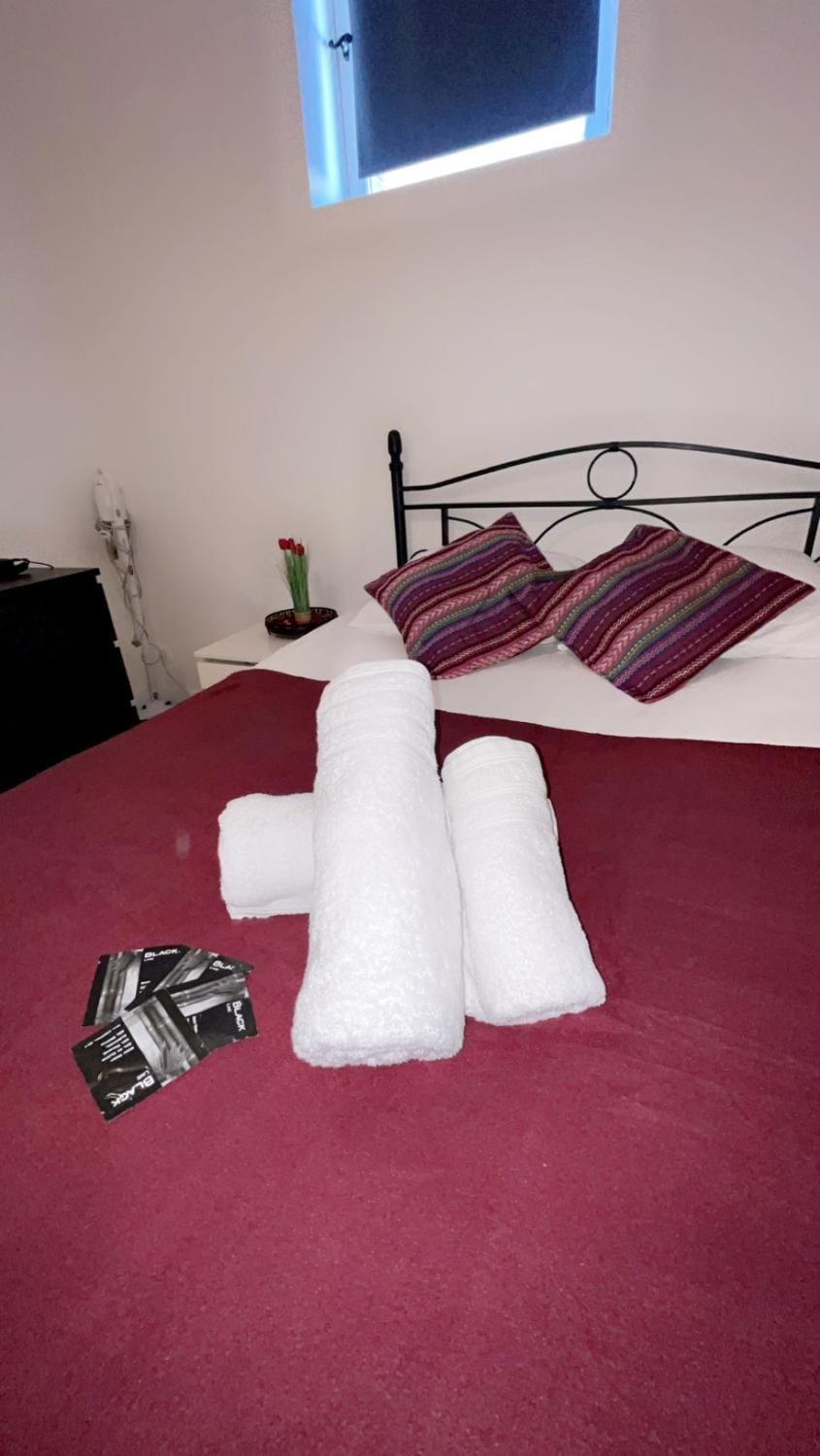 Appart toulousaine avec patio rdc Apartment in Toulouse