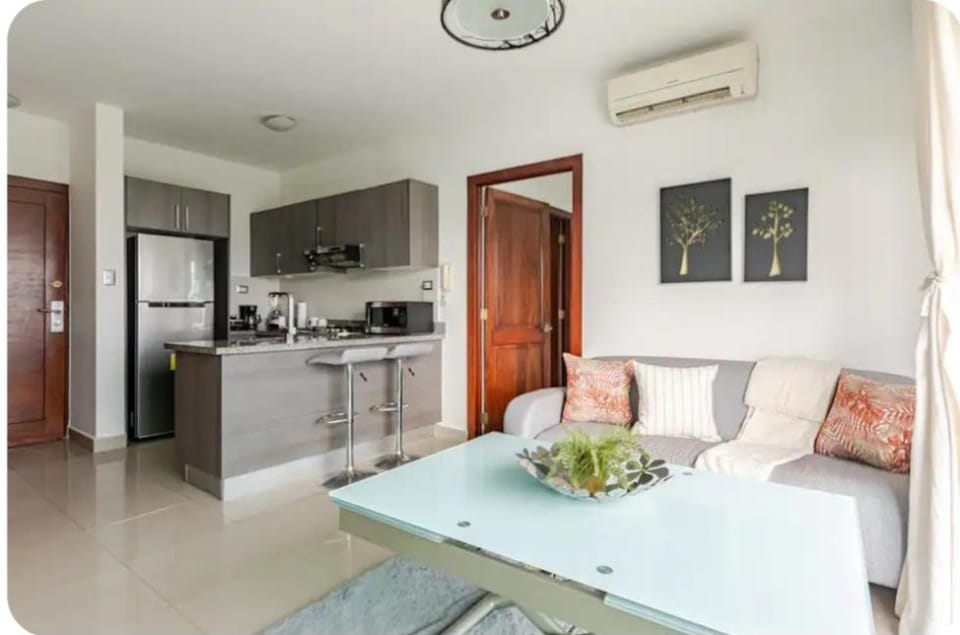 Condo Apartment Apartment in Santo Domingo