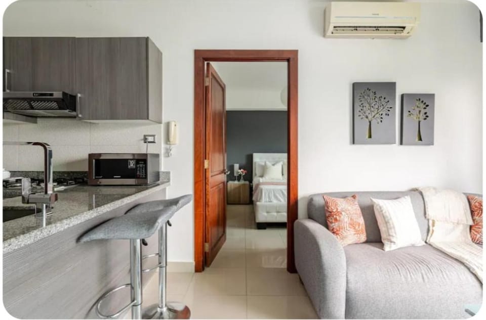 Condo Apartment Apartment in Santo Domingo