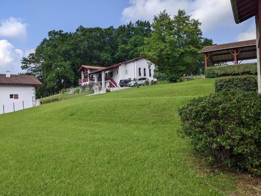 Natural landscape, Garden