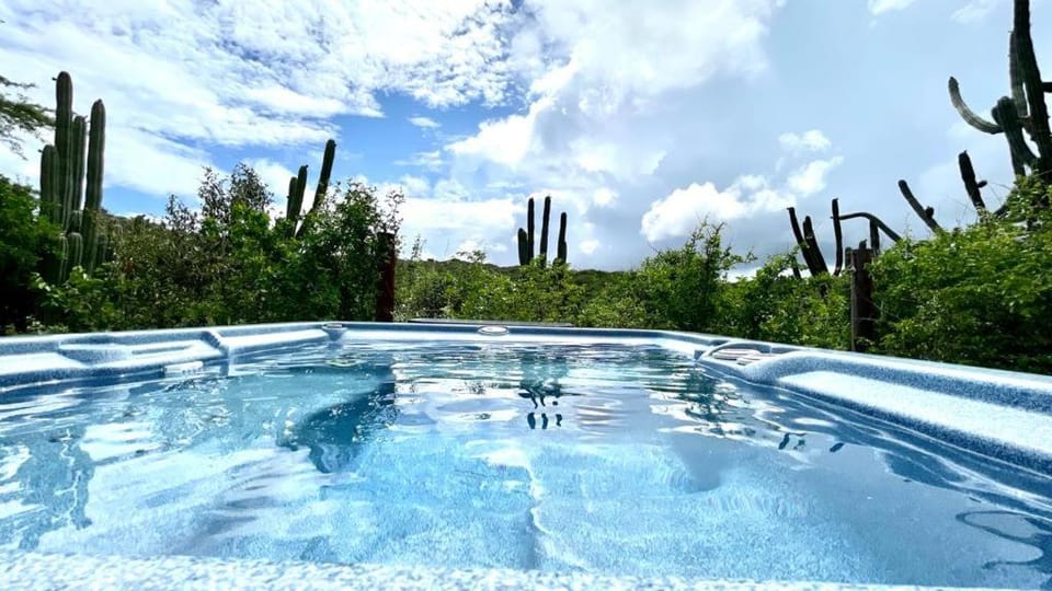 Natural landscape, Hot Tub, Garden view