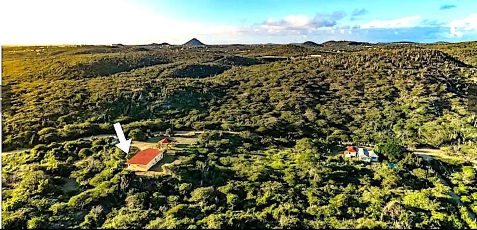Natural landscape, Bird's eye view, Garden