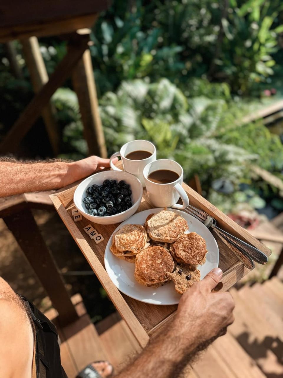 Casa Botanica Breakfast, Pool & Ocean Views Villa in Bocas del Toro Province