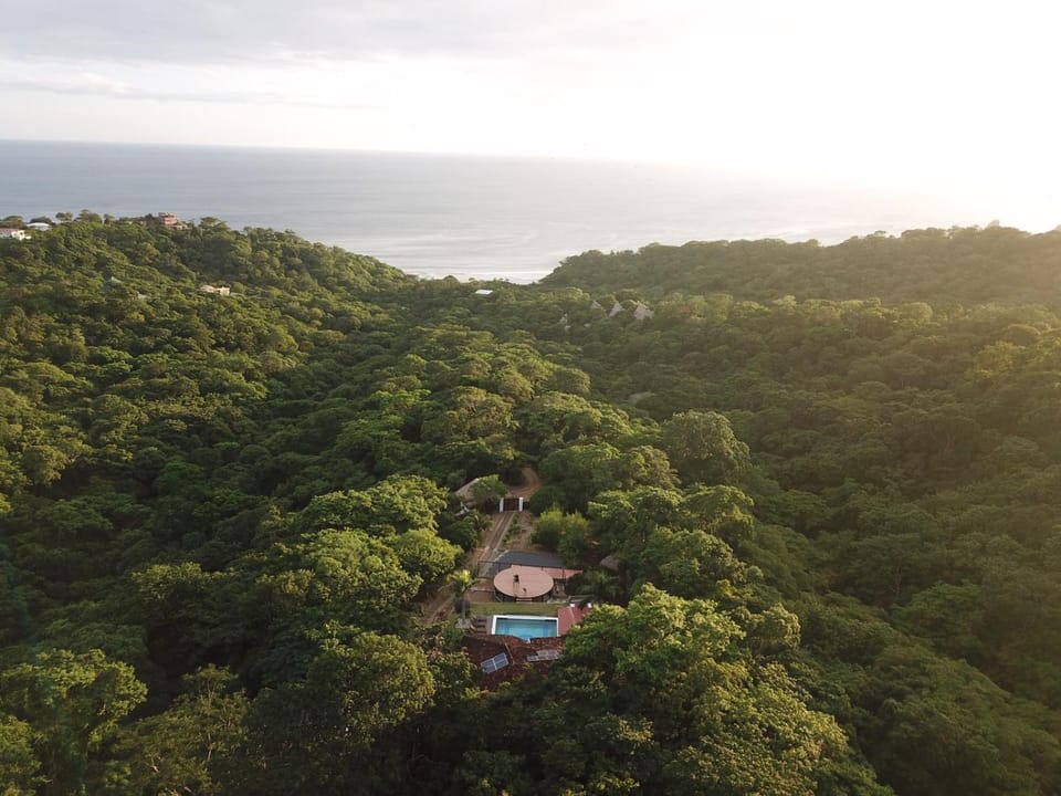 Bird's eye view, Sea view