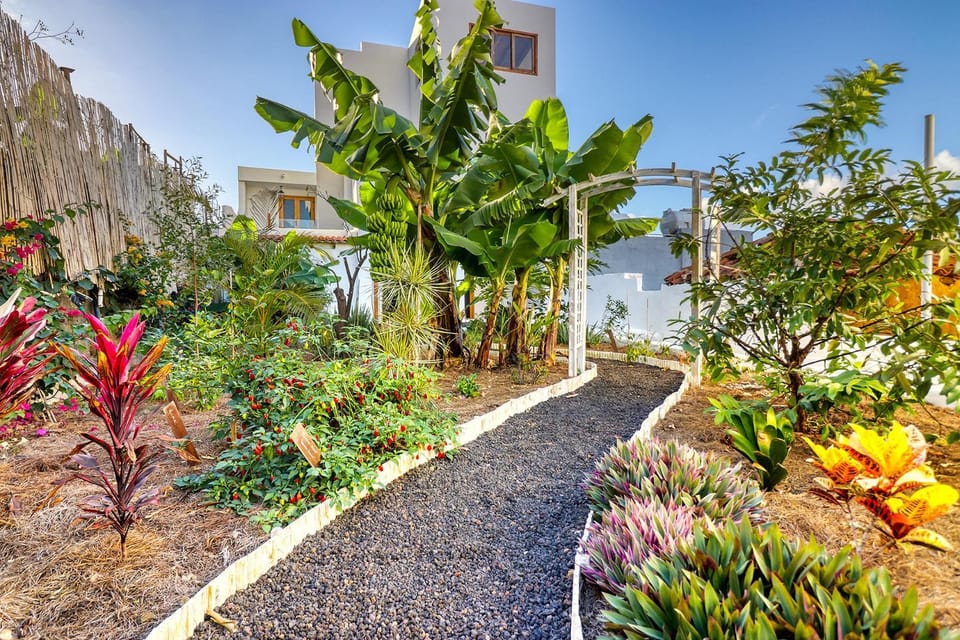 Patio, Garden, Garden view