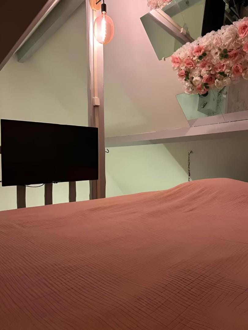 Mezzanine Apartment in Chartres