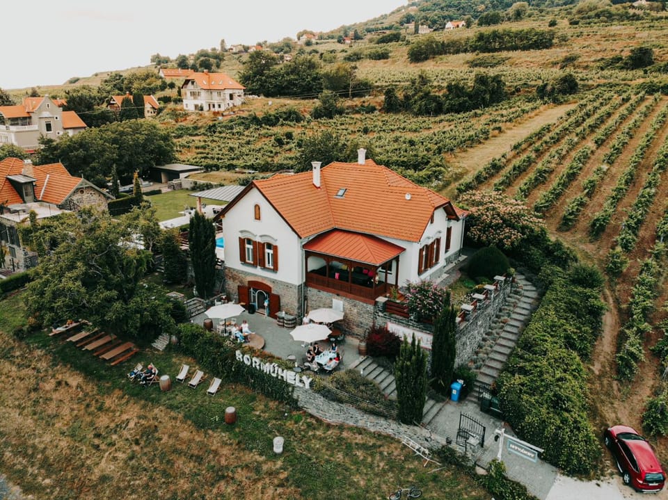 Badacsony Villa Ria Villa in Hungary