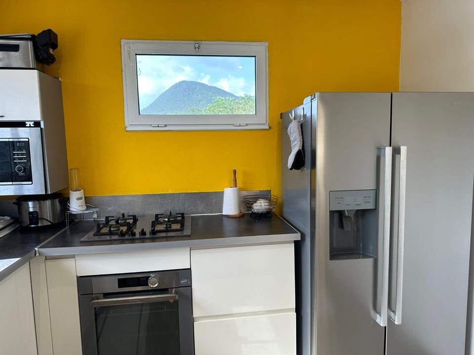 Kitchen or kitchenette, minibar, pet friendly, stove
