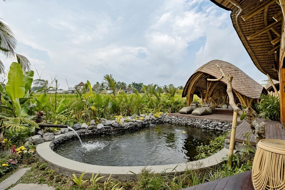 Patio, Swimming pool