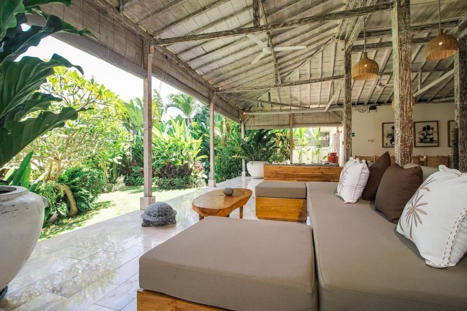 Day, Garden, Living room, Seating area