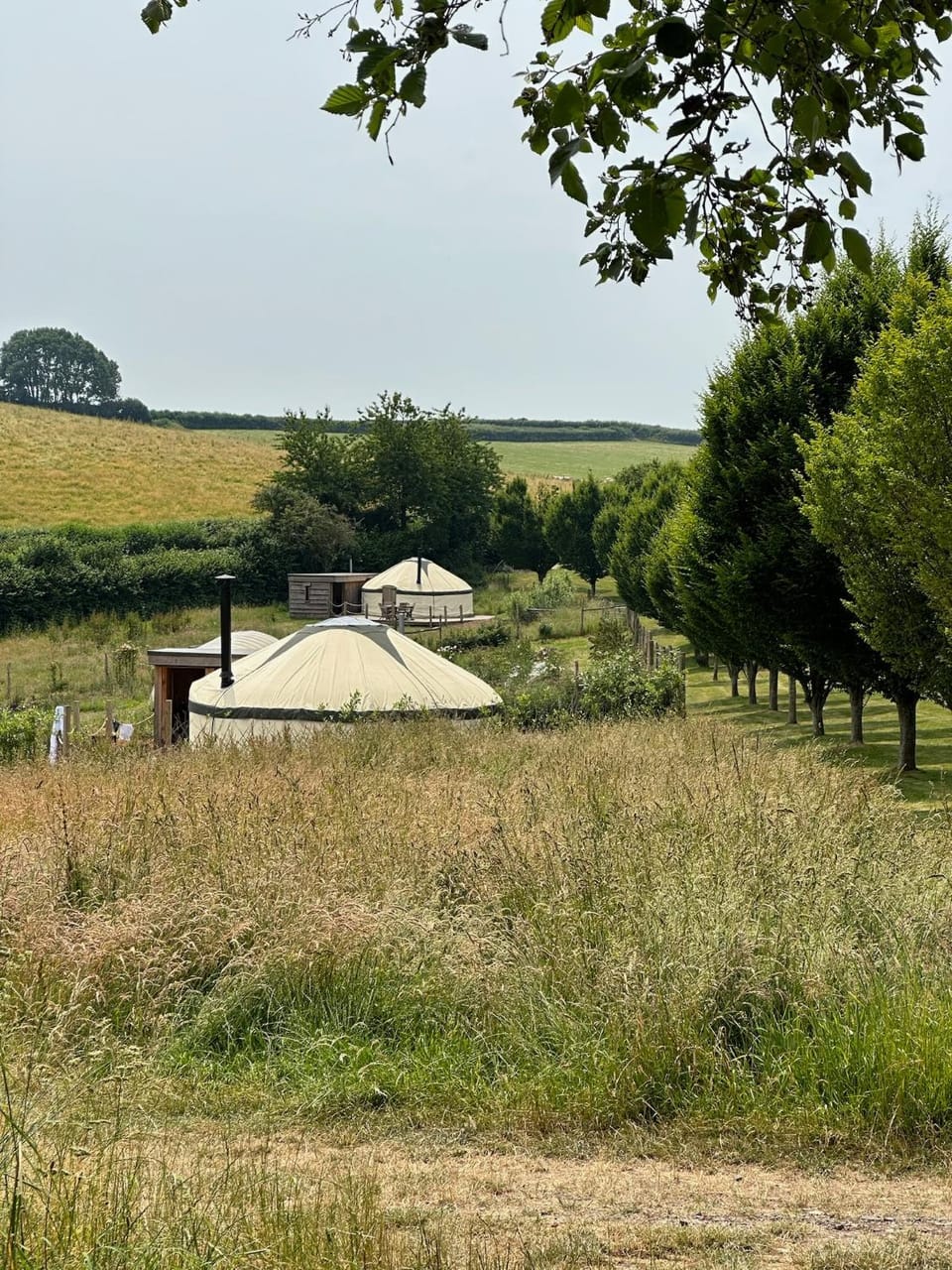 Property building, Natural landscape