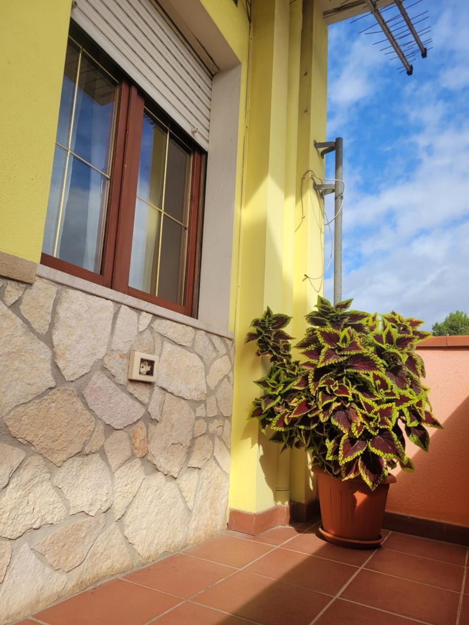 ButterflyHouse House in Cagliari
