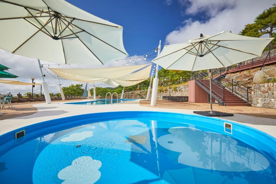 Swimming pool, Swimming pool