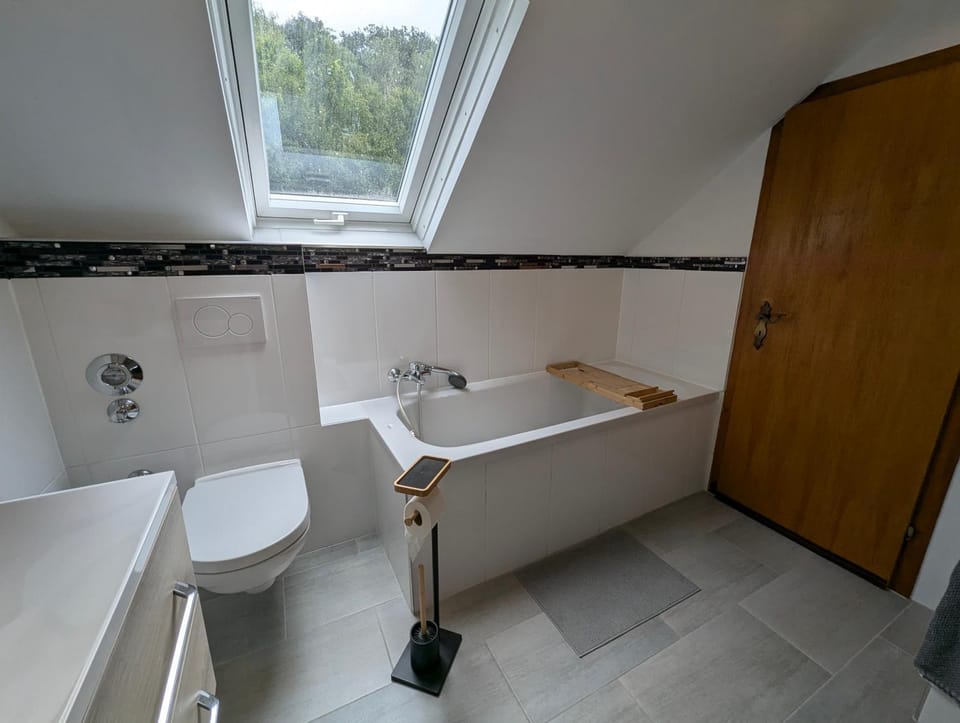 Toilet, Bathroom, Photo of the whole room, Bath, towels