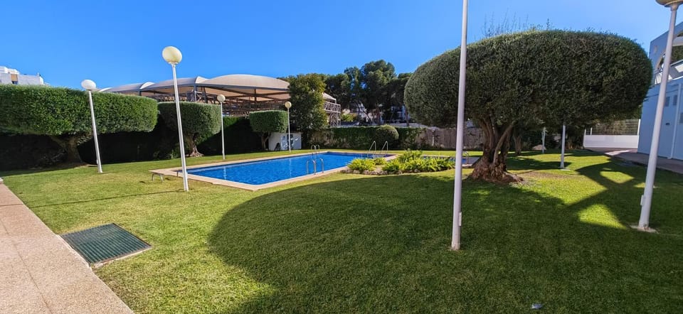 Garden, Swimming pool, Swimming pool