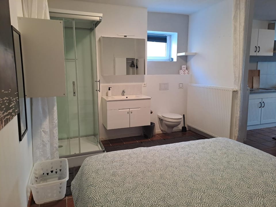 STUDIO Apartment am Kreuzbergl, 34qm, 1-2 Gäste, gratis Parkplätze & Self Check-in Apartment in Klagenfurt
