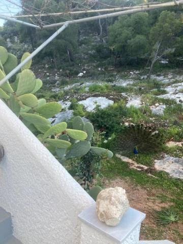 Agistri Island Dream Apartment hotel in Argolis, Greece