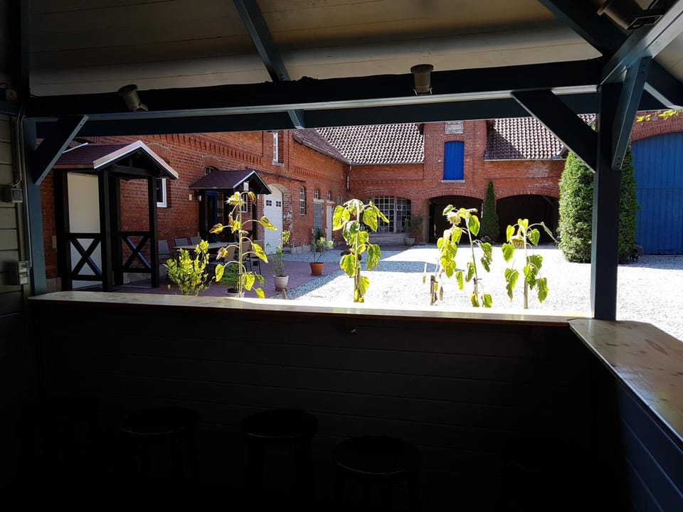 Patio, Facade/entrance