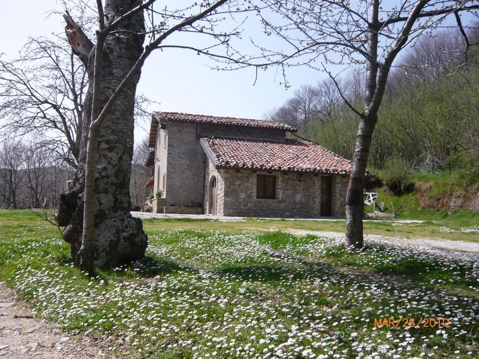 Agriturismo il Vignale Farm Stay in Sicily