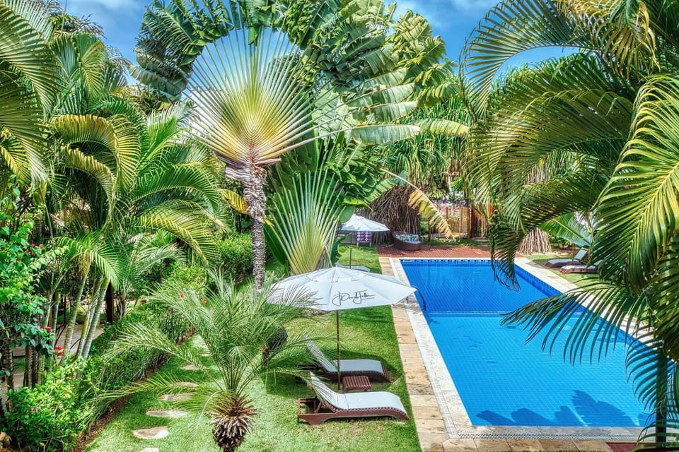 Day, Natural landscape, Garden, Garden view, Pool view, Swimming pool, Swimming pool, sunbed