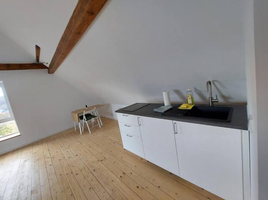 Kinderklinik Dachwohnung Lion's Head 1B Apartment in Siegen