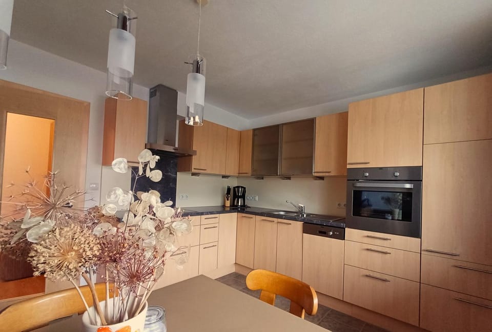 Kitchen or kitchenette, dishwasher, minibar, stove, toaster