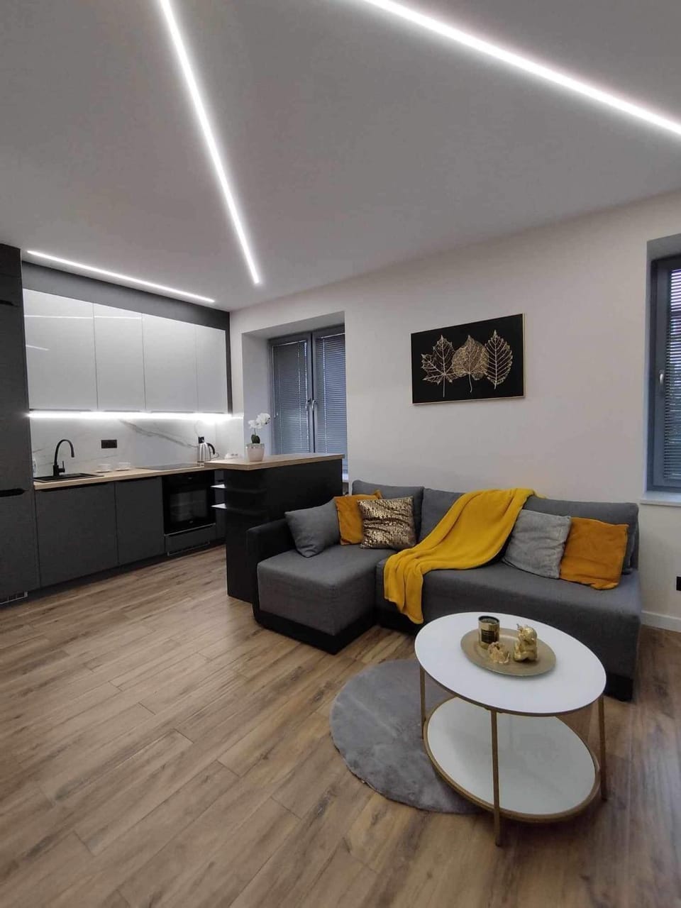 Apartament przy Filharmonii i KCK Apartment in Poland