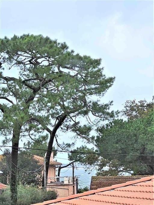 Natural landscape, Sea view