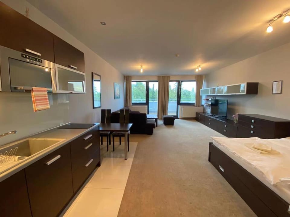 Kitchen or kitchenette, Living room, Bedroom