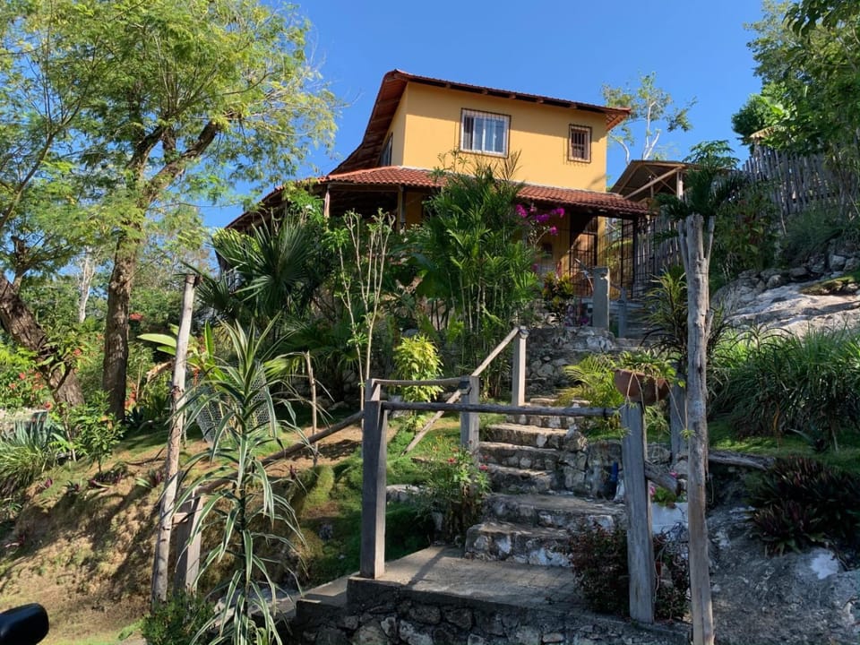 Property building, Day, Garden