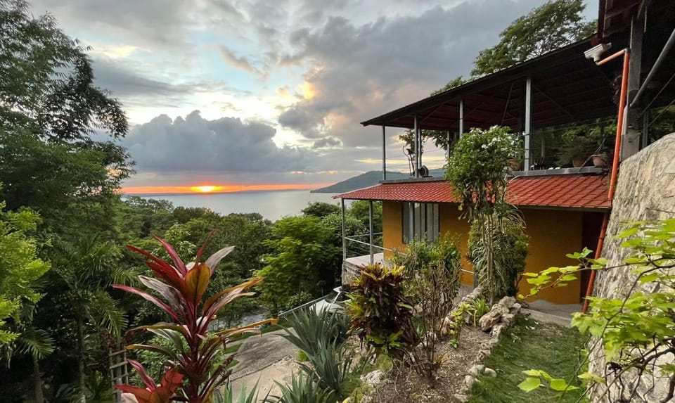 Property building, Garden, Sunset
