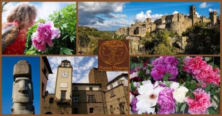 La Peonia Apartment in Umbria
