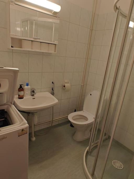 Brooms - Newly renovated central studio apartment Apartment in Finland