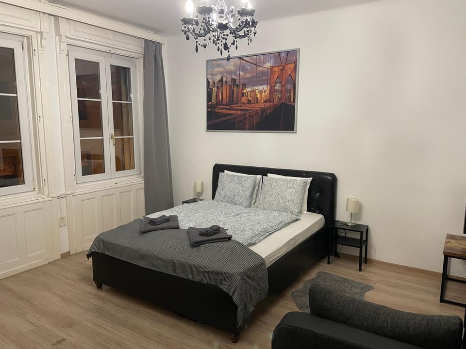 Cozy apartment on Raday Corso Apartment in Budapest