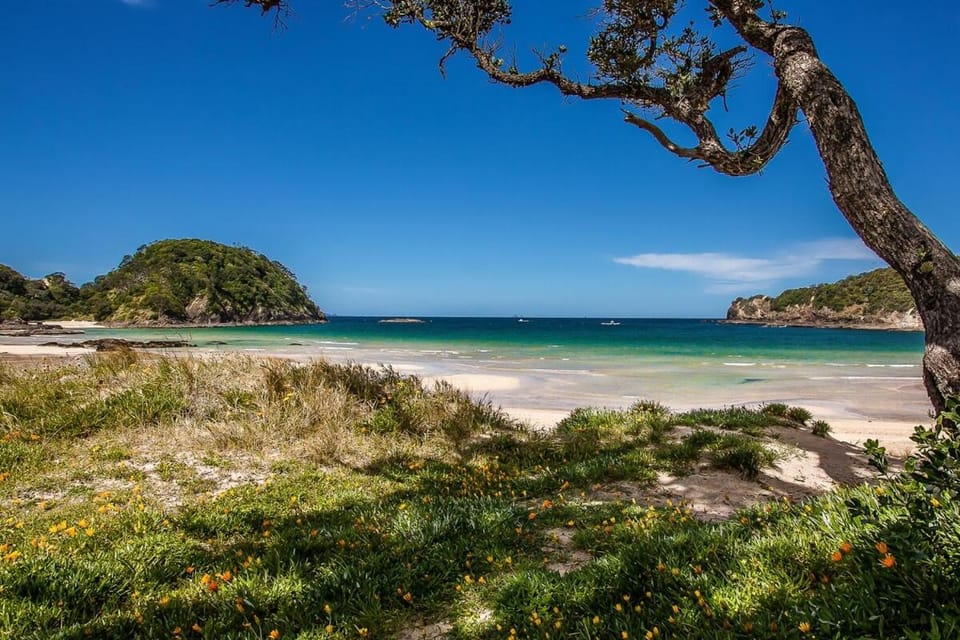 Matapouri Memories House in Northland