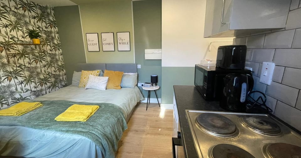 Bed, Kitchen or kitchenette, Photo of the whole room, Dining area, Bedroom, stove