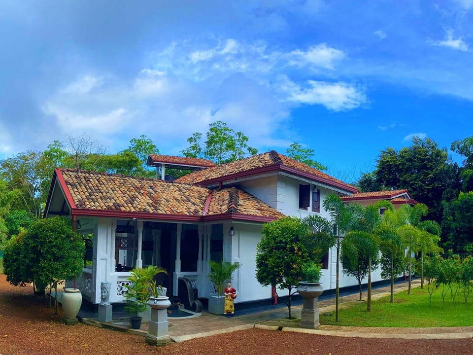 Property building, Garden, Garden view