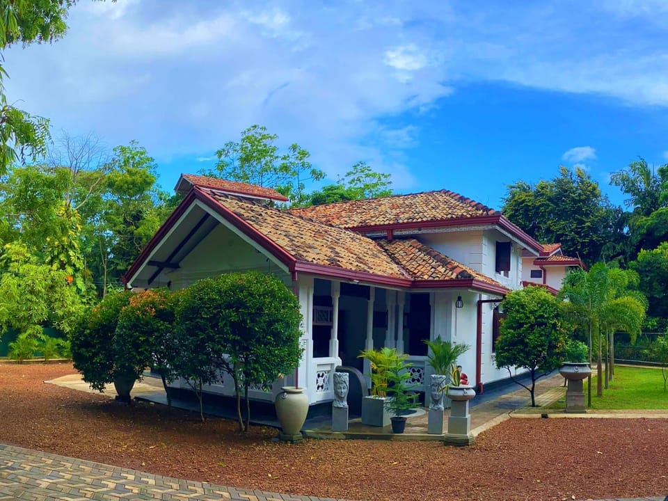 Property building, Garden, Garden view