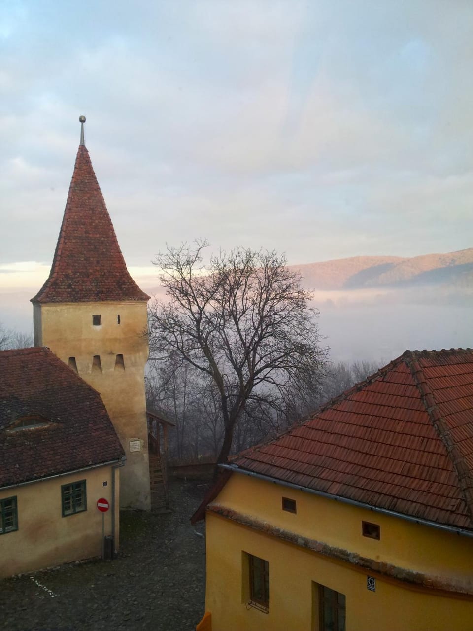 View (from property/room)
