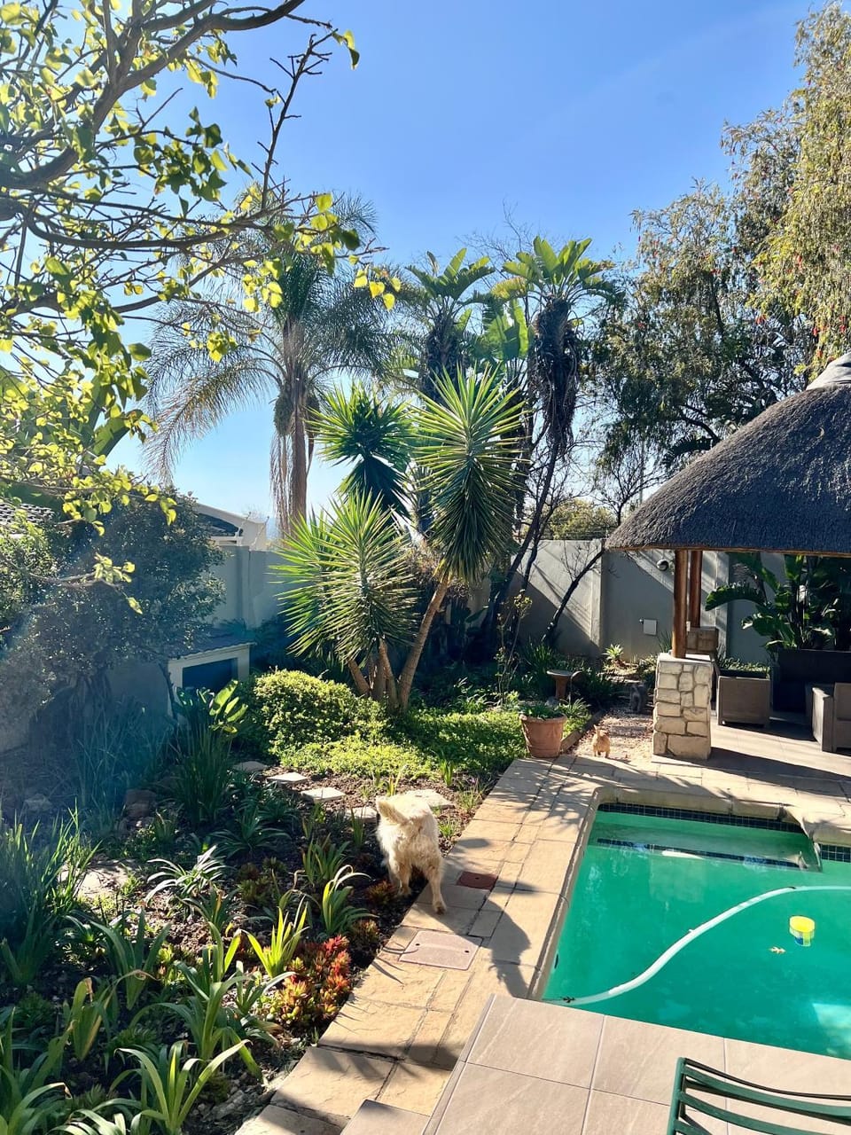 Garden, Garden view