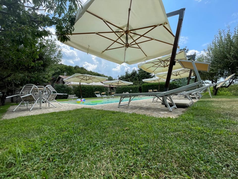 Spring, Natural landscape, Garden, Garden view, Pool view, Swimming pool, sunbed