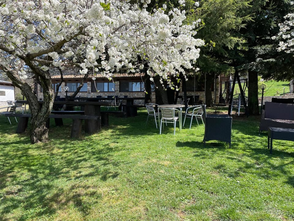 Spring, Day, Natural landscape, Garden, Garden view