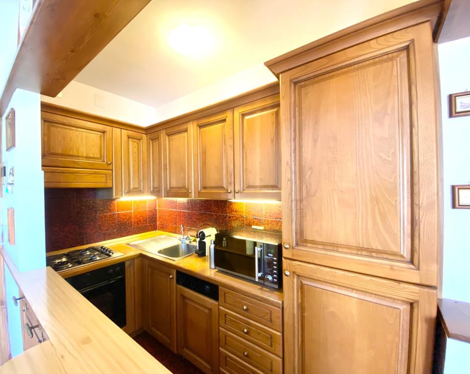 Kitchen or kitchenette, minibar, pet friendly, stove