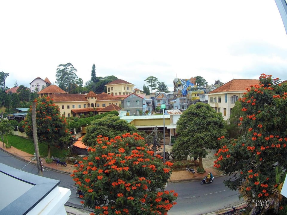 Neighbourhood, Street view