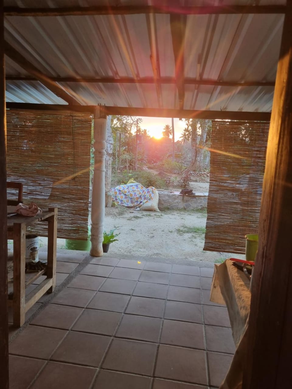 Patio, Garden view, Sunset