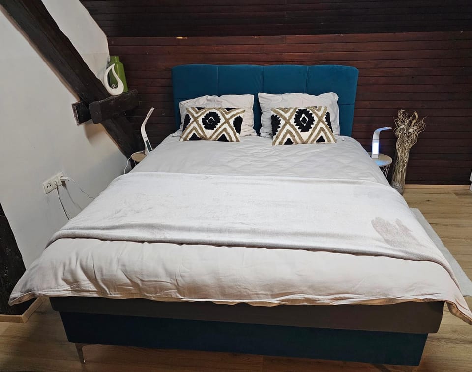 Soba 7 Pekrska vila Vacation rental in Slovenia