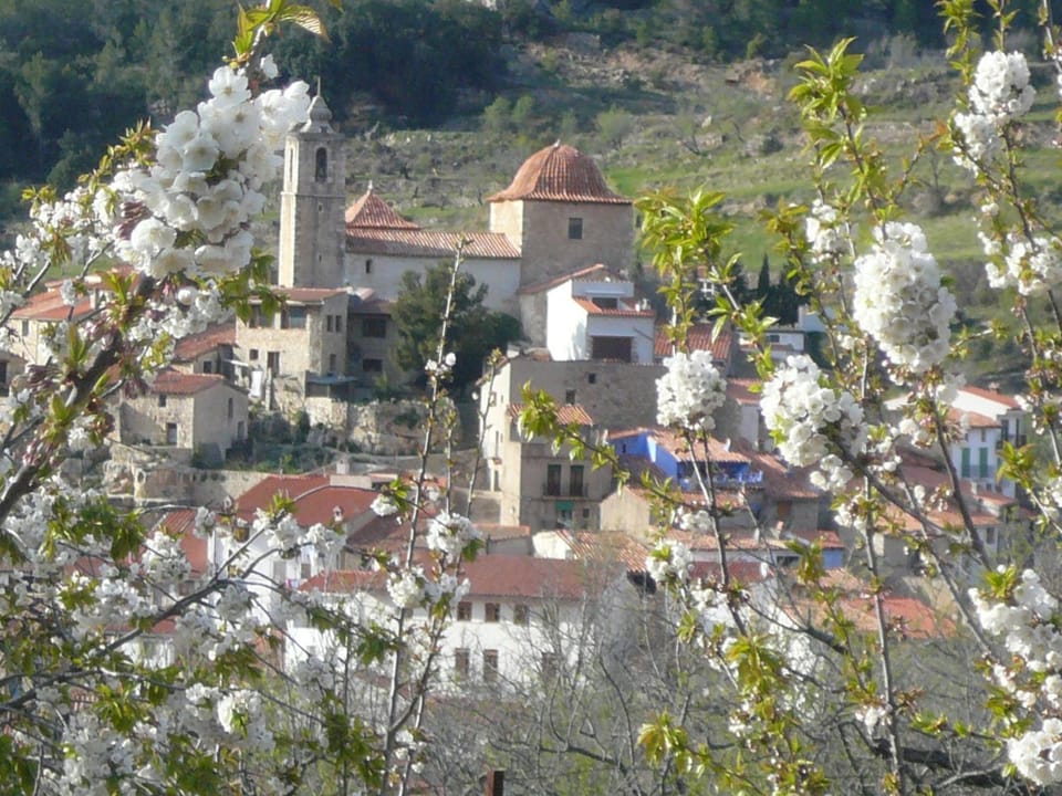Spring, Natural landscape