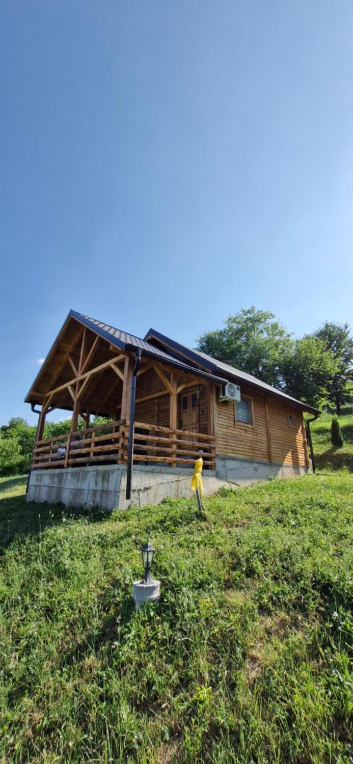 Property building, Spring, Day, Natural landscape, Garden, Garden view