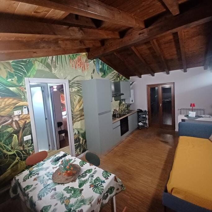 Bed, Kitchen or kitchenette, Living room, Photo of the whole room, Seating area, Dining area